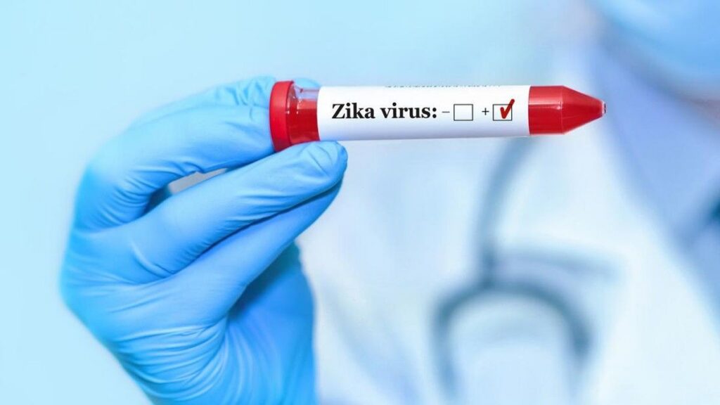 Pemerintah Bali Pastikan Belum Ada Kasus Virus Zika di Wilayahnya