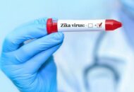 Pemerintah Bali Pastikan Belum Ada Kasus Virus Zika di Wilayahnya
