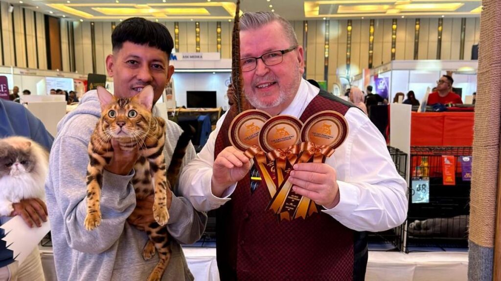 Kucing Bengal Singo 22 Praga Raih Best of the Best Bekasi Pet Expo 2026