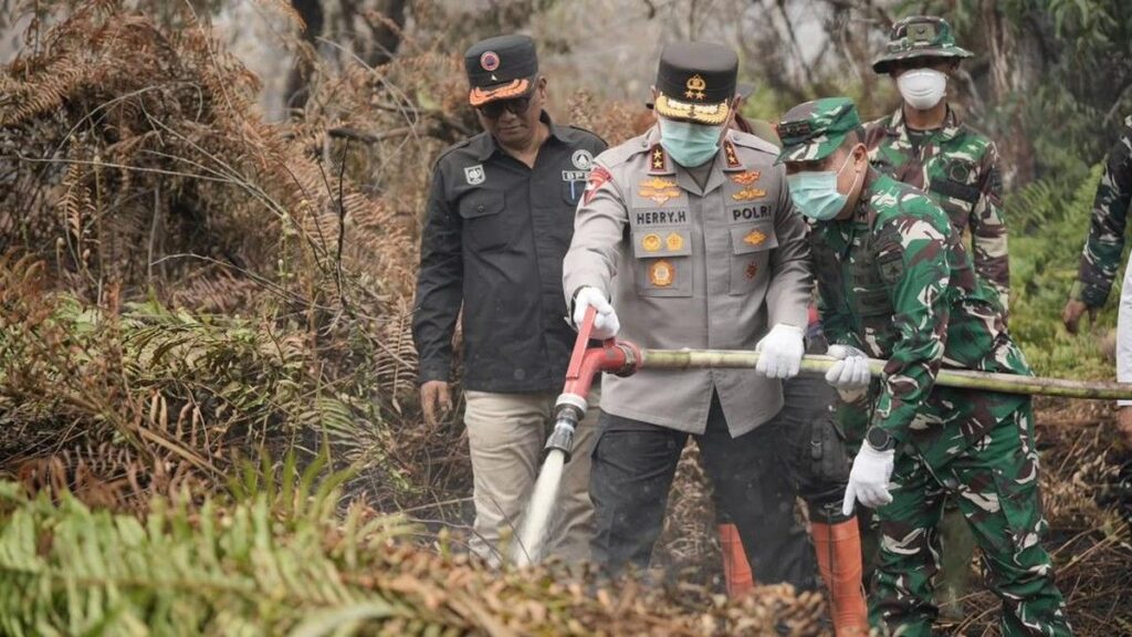 Kapolda Riau dan Pangdam Patroli Udara dan Padamkan Karhutla di Pelalawan