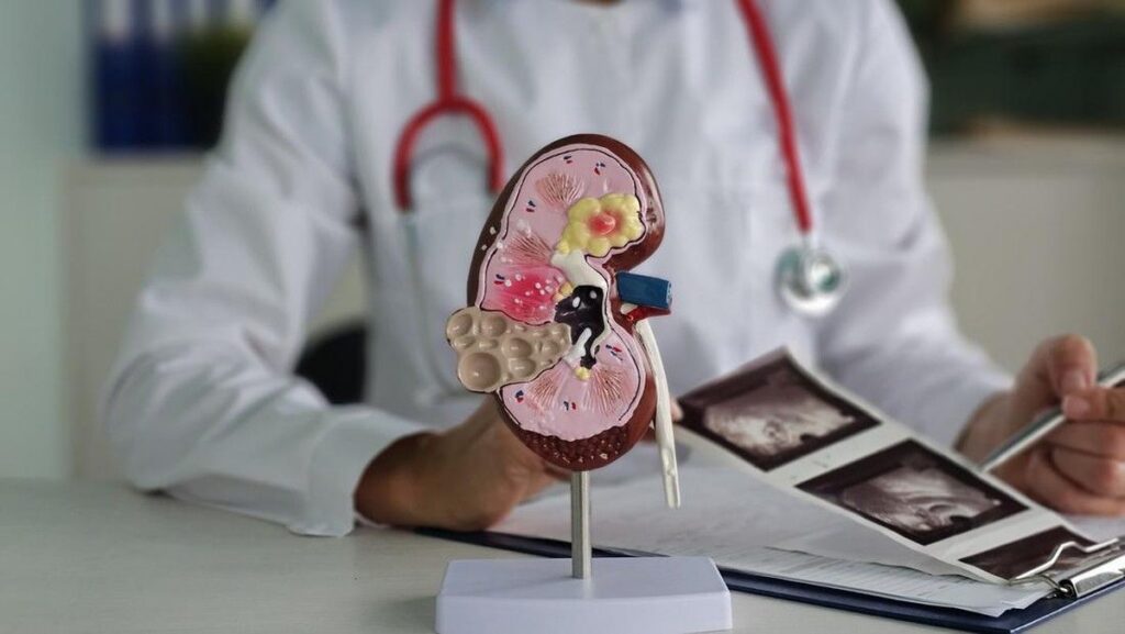 Hipertensi Picu Kerusakan Ginjal Diam-diam Tanpa Disadari