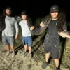 Pemburu Florida Basmi 96 Piton Burma di Everglades