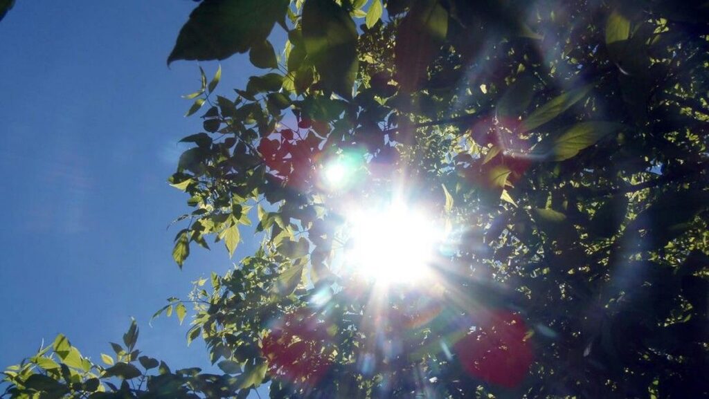 BRIN dan BMKG Konfirmasi Fenomena Super El Nino Melanda Indonesia