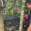 Polisi Tangkap Kera Ekor Panjang Pelaku Serangan di Tembilahan