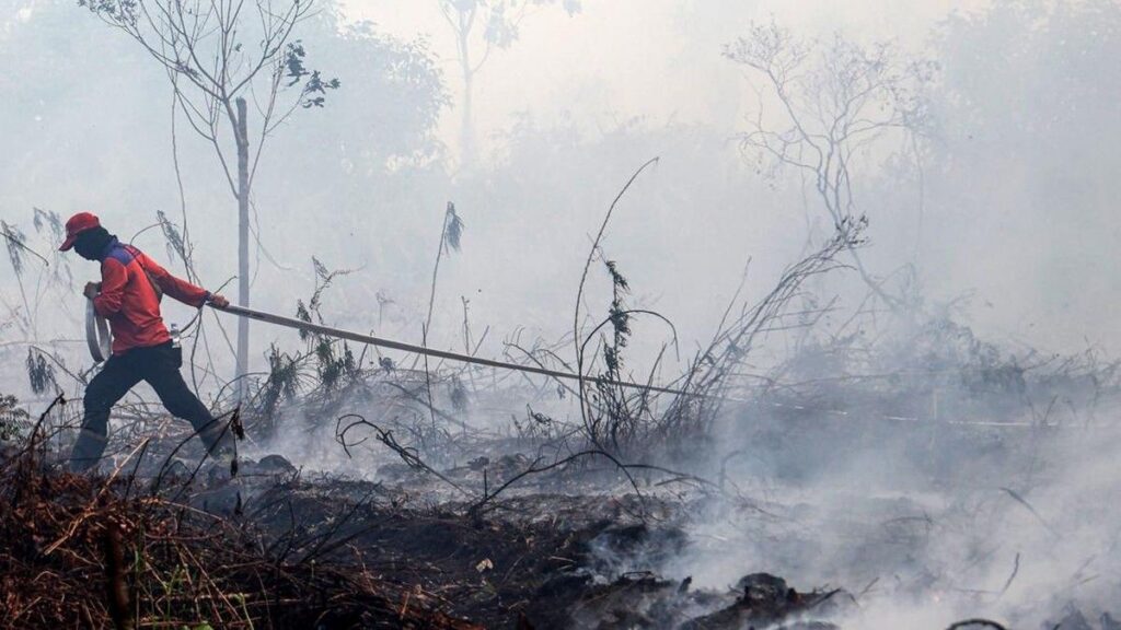 BNPB Siagakan 30 Helikopter Tambahan Tangani Karhutla Kalimantan