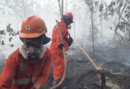 Jumlah Hotspot Karhutla Nasional Turun 56 Persen dalam Sehari