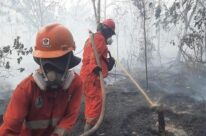 Jumlah Hotspot Karhutla Nasional Turun 56 Persen dalam Sehari
