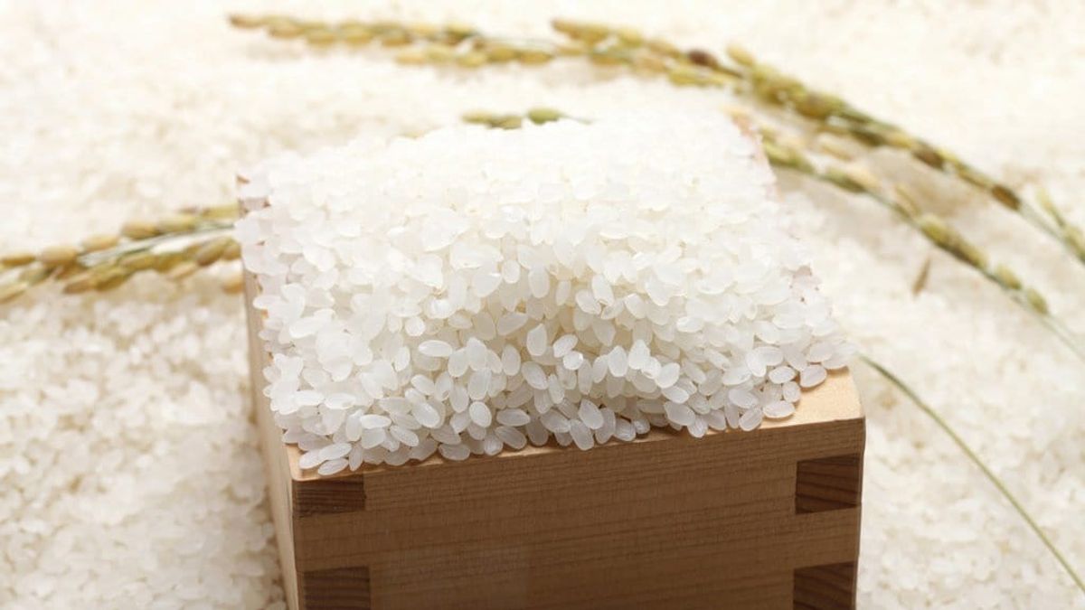 Pemerintah Salurkan Bantuan Beras 997 Ribu Ton Mulai 17 Agustus 2026
