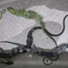 Petugas Bandara Soekarno-Hatta Gagalkan Penyelundupan Biawak ke Korea