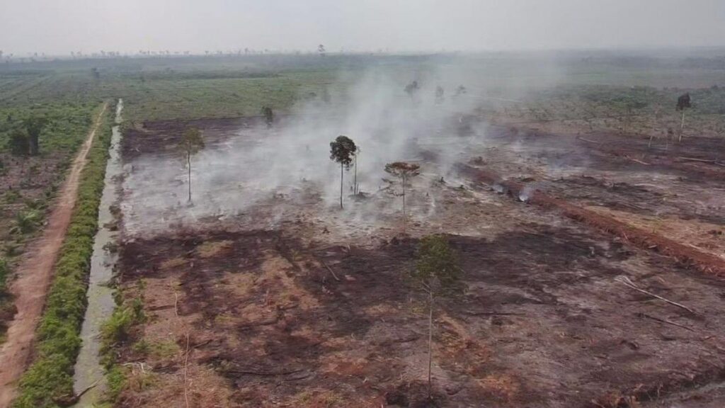 Polda Riau Tetapkan Dua Tersangka Kebakaran Hutan di Bengkalis