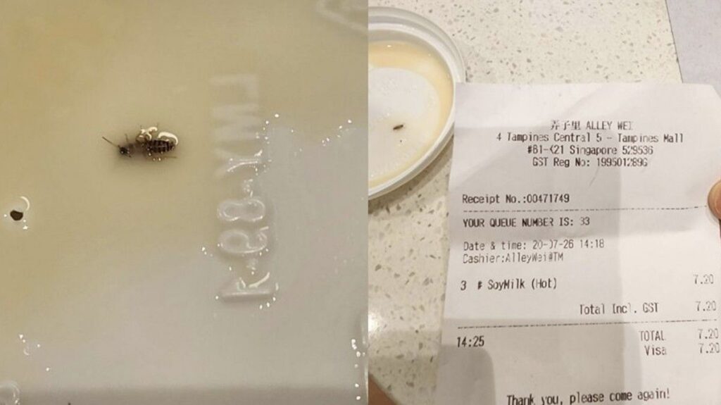 Pelanggan Temukan Anak Kecoak dalam Minuman Susu Kedelai di Singapura