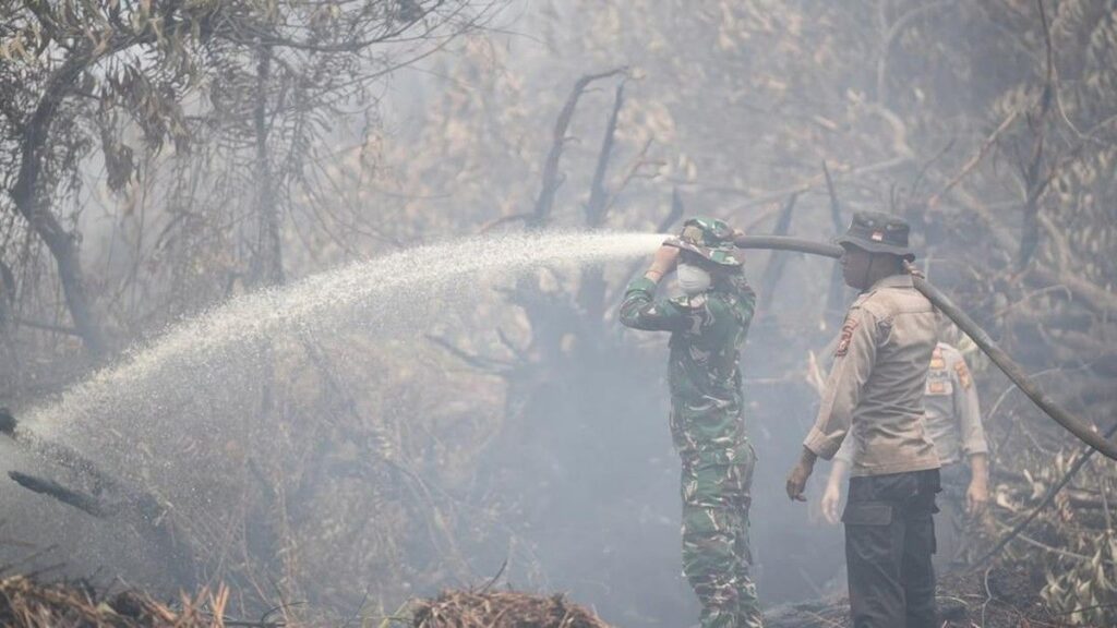Mendagri Nilai Pencegahan Karhutla di Riau Berjalan Baik
