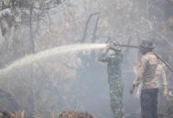 Mendagri Nilai Pencegahan Karhutla di Riau Berjalan Baik