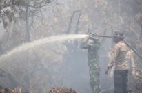 Mendagri Nilai Pencegahan Karhutla di Riau Berjalan Baik