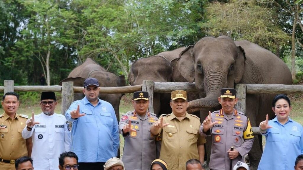 DPR Minta Kemenhut Antisipasi Virus EEHV Setelah Kematian Anak Gajah