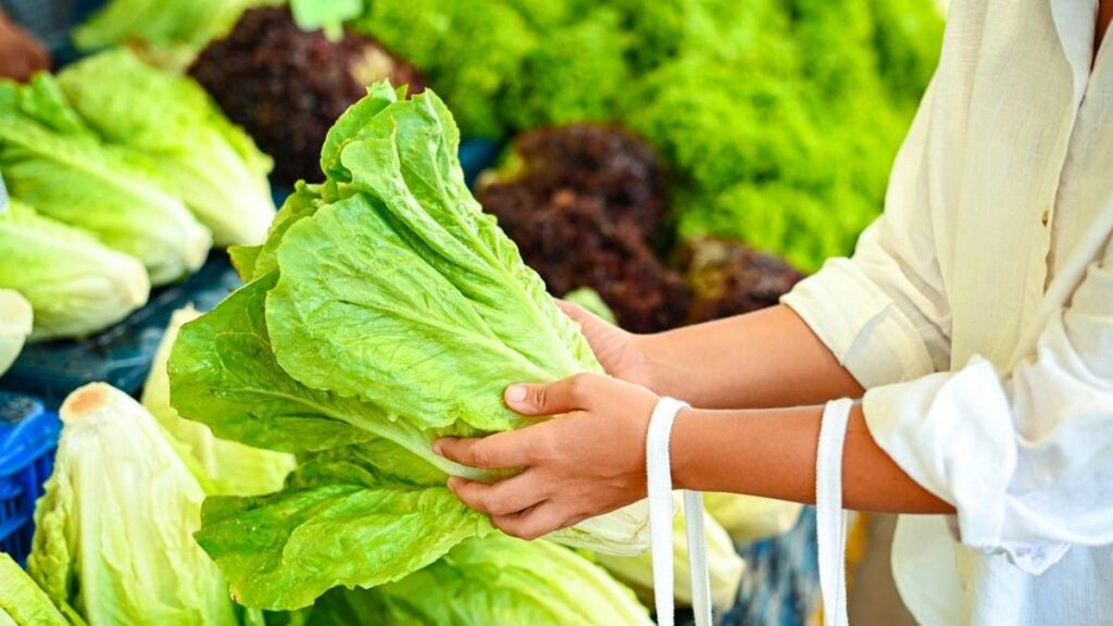 Wabah Parasit Cyclospora Infeksi 3 Ribu Orang di AS