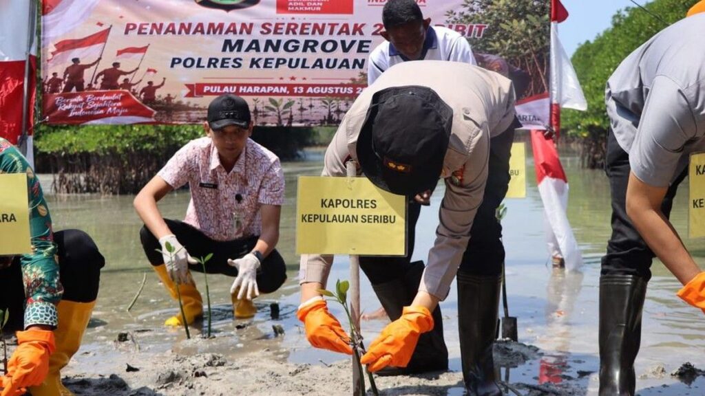 Polres Kepulauan Seribu Tanam 2.000 Bibit Mangrove Sambut HUT RI ke-81