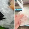 Bocah di Fujian Muntah Usai Temukan Diduga Kelelawar dalam Makanan