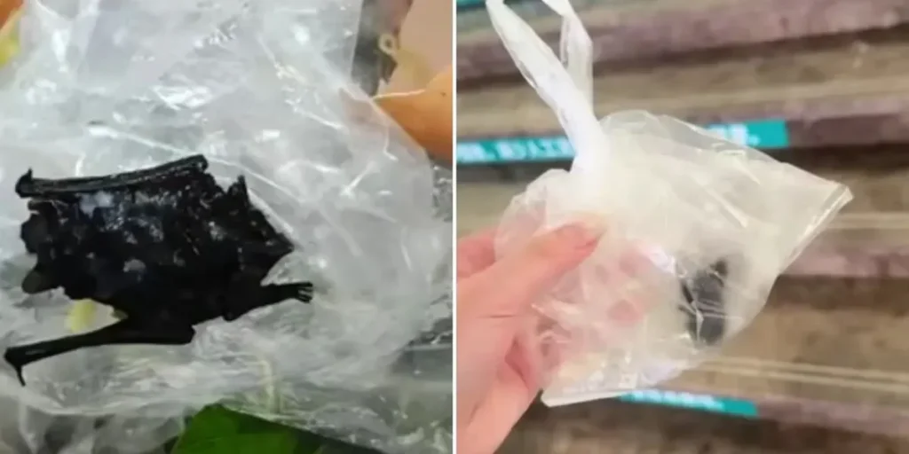 Bocah di Fujian Muntah Usai Temukan Diduga Kelelawar dalam Makanan
