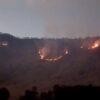 Kebakaran Hutan TNBTS Merembet ke Savana Bromo