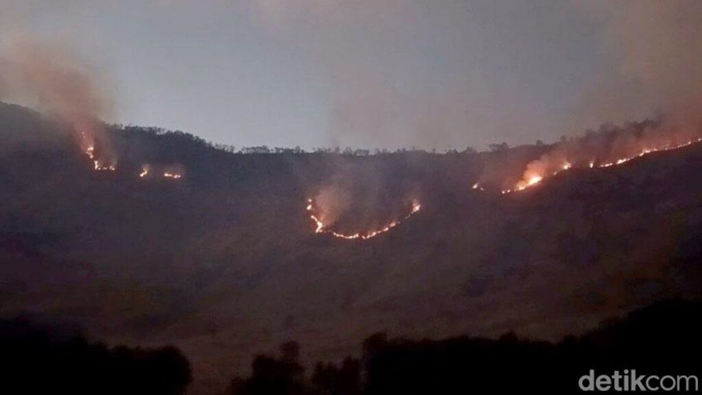 Kebakaran Hutan TNBTS Merembet ke Savana Bromo