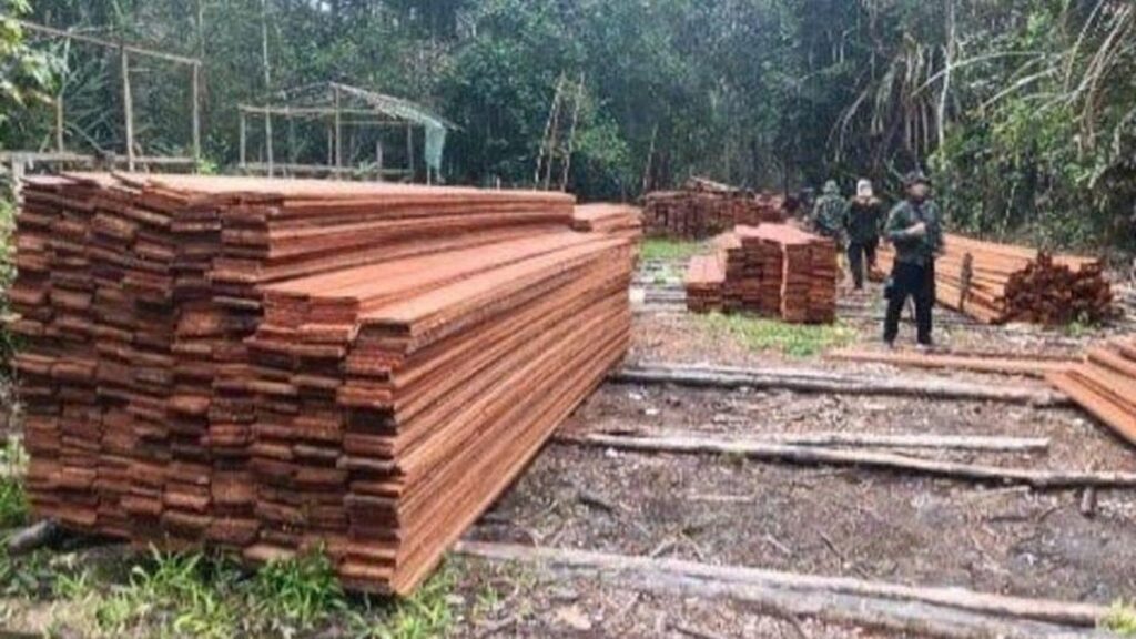 Kemenhut Tetapkan Enam Tersangka Pembalakan Liar Suaka Margasatwa Kerumutan