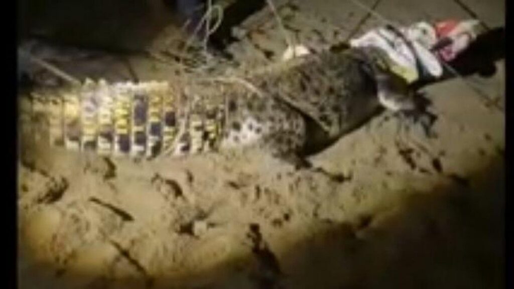 Tim Gabungan Evakuasi Buaya Muara Tiga Meter di Pantai Cihara Lebak