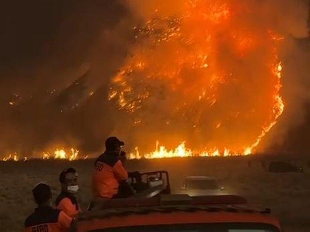 Kebakaran Hutan Gunung Bromo Meluas Penutupan Total Diberlakukan