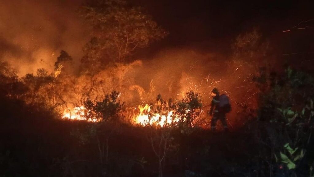 DPR Mendesak Kemenkeu Cairkan Anggaran Karhutla Rp290 Miliar