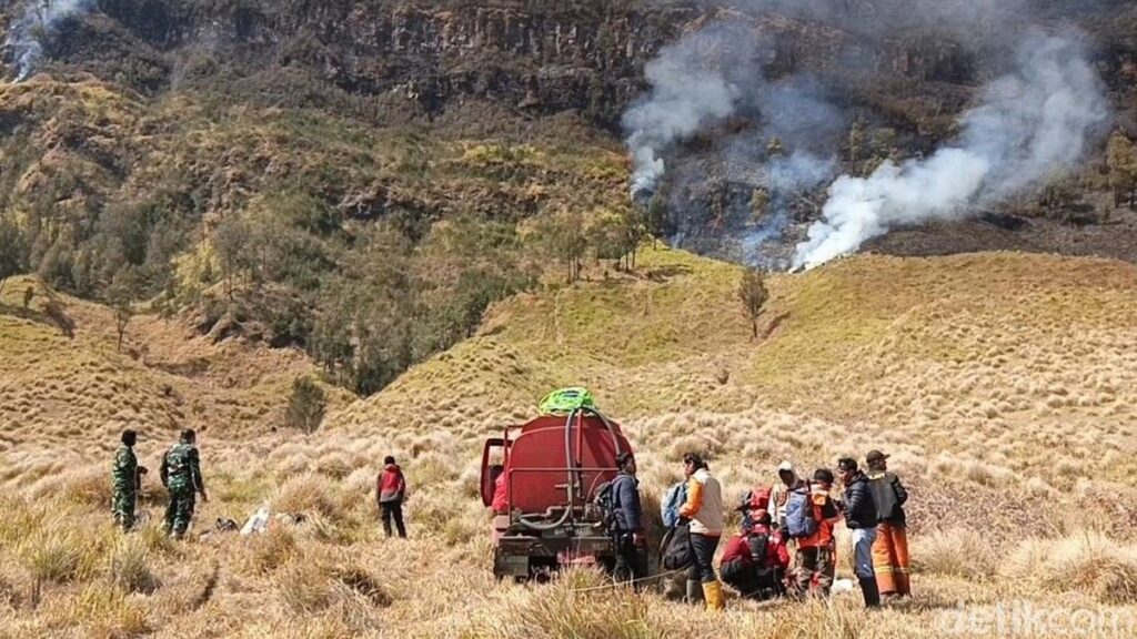 Kebakaran di Gunung Bromo Luas 120 Hektare Disebabkan Ulah Manusia