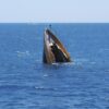 DPR Sebut Angkutan Laut Darurat usai 601 Kecelakaan Kapal Terjadi