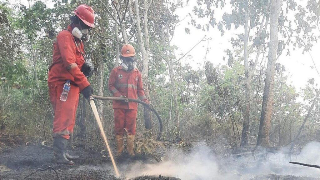 BPBD Kalteng Laporkan 66.679 Kasus ISPA Akibat Karhutla