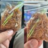 Ayah di Malaysia Kejut dengan Porsi Mi Goreng Rp4.000 yang Sangat Kecil