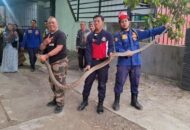 Studi Ungkap Penyebab Utama Astronaut Sering Sembelit di Luar Angkasa