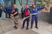 Studi Ungkap Penyebab Utama Astronaut Sering Sembelit di Luar Angkasa