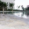 Trans Hotel Jakarta menawarkan staycation akhir pekan dengan fasilitas premium