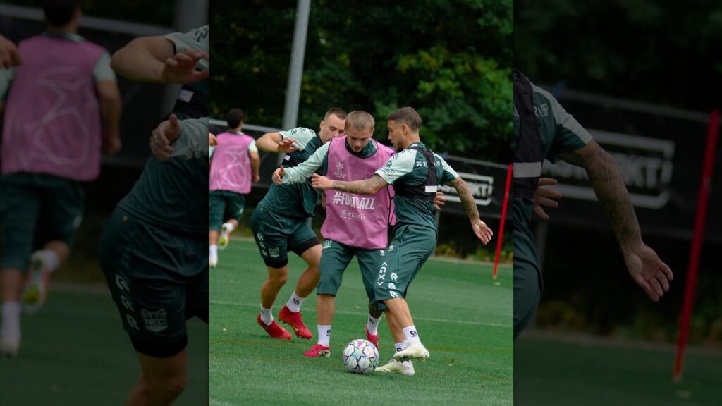 NEC Nijmegen Pertemukan Strategi Kontras Lawan Bodo Glimt