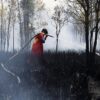 Asap Karhutla Kalimantan Berisiko Picu Gangguan Organ Tubuh