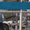 BYD Indonesia Investigasi Insiden Mobil Seal Terbakar di Tol Cikampek
