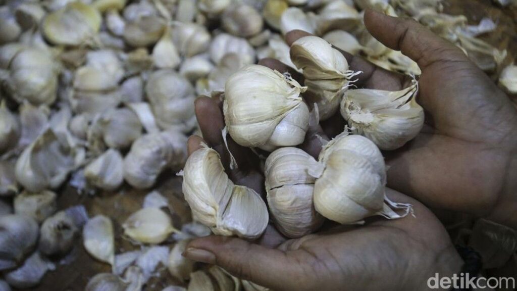 BPS Catat Impor Bawang Putih Semester I 2026 Capai 229 Ribu Ton