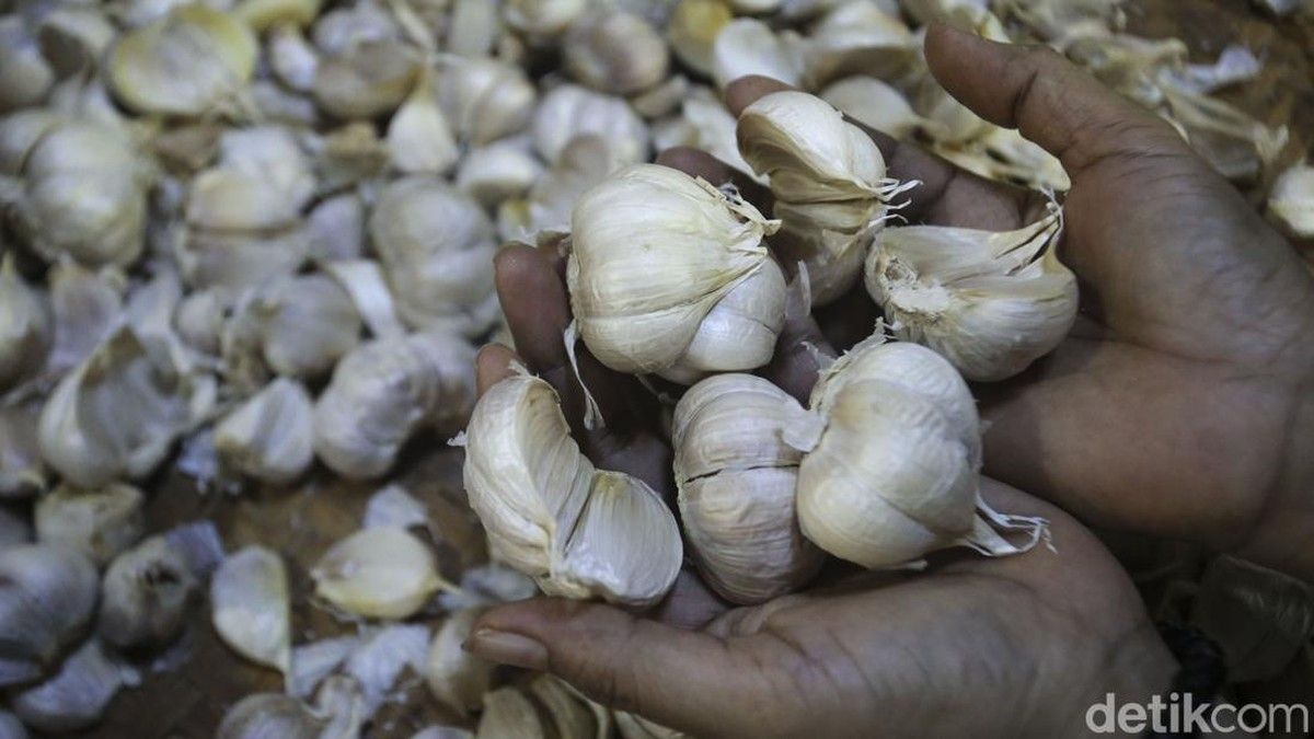 BPS Catat Impor Bawang Putih Semester I 2026 Capai 229 Ribu Ton