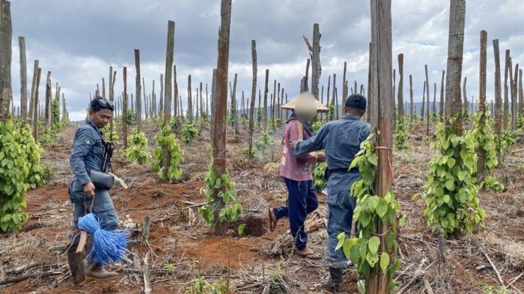 Kemenhut Amankan Tiga Perambah Hutan Lindung di Luwu Timur