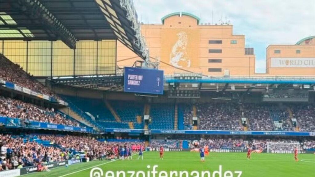 Manchester City Incar Enzo Fernandez dari Chelsea