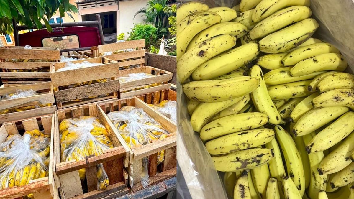 Pesanan 14 Peti Pisang MBG di Bandar Lampung Dibatalkan Sepihak