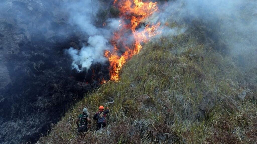 Kebakaran Hutan TNBTS Hanguskan 942 Hektare Lahan