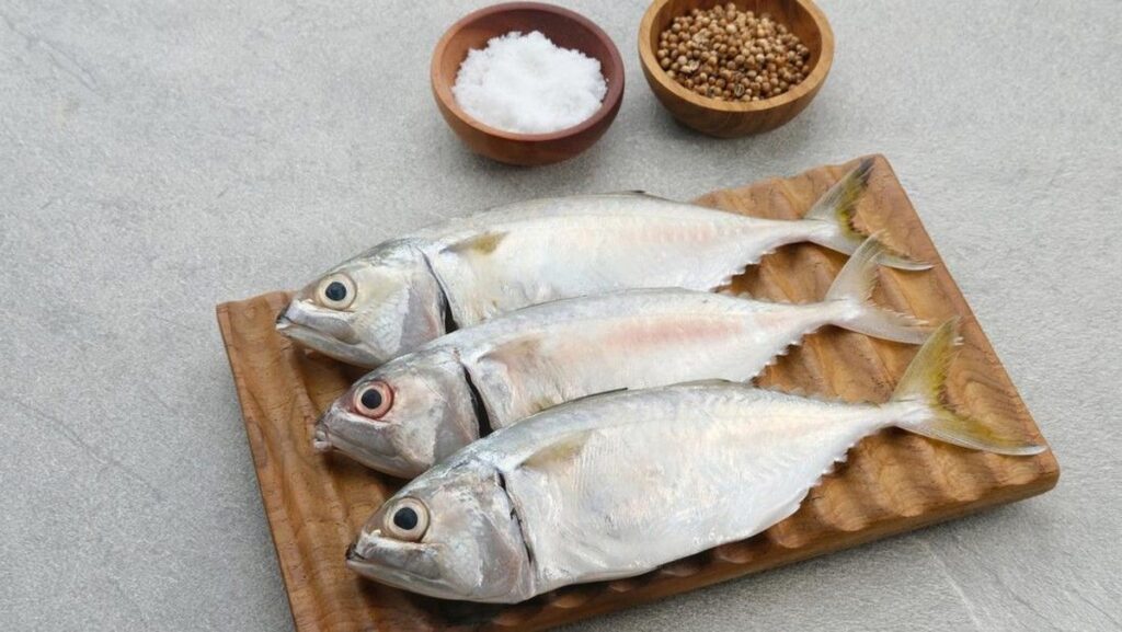 7 Resep MPASI Ikan Kembung untuk Bayi 6 Bulan ke Atas