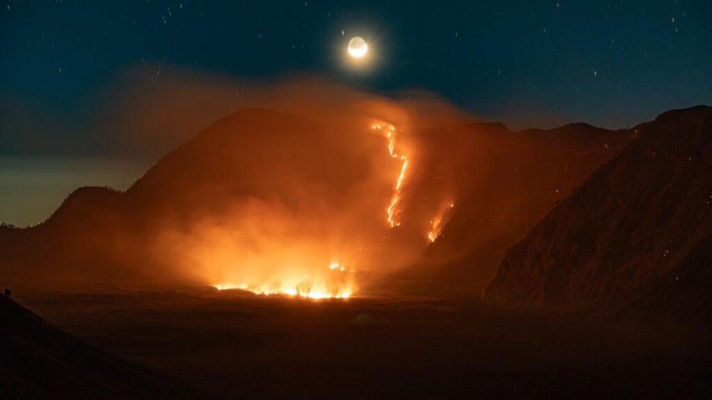 Kebakaran Hanguskan 176 Hektare Lahan di Gunung Bromo